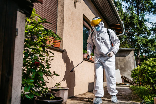 Best Rodent Control Near Me  in Grizzly Flats, CA