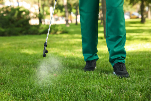 Best Pest Control Near Me  in Grizzly Flats, CA