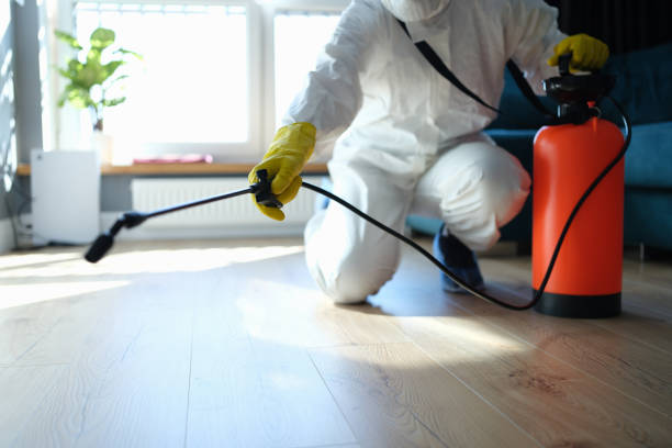 Best Emergency Pest Control  in Grizzly Flats, CA