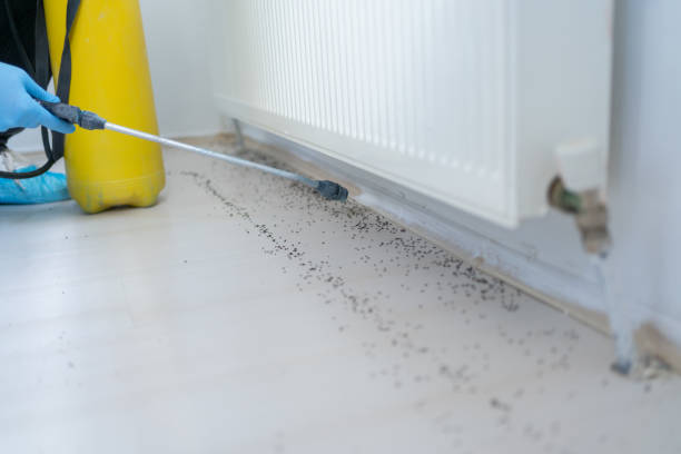 Best Pest Control Near Me  in Grizzly Flats, CA