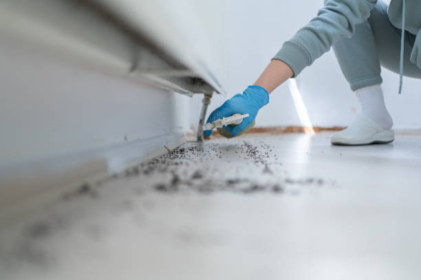 Best Local Pest Control Services  in Grizzly Flats, CA