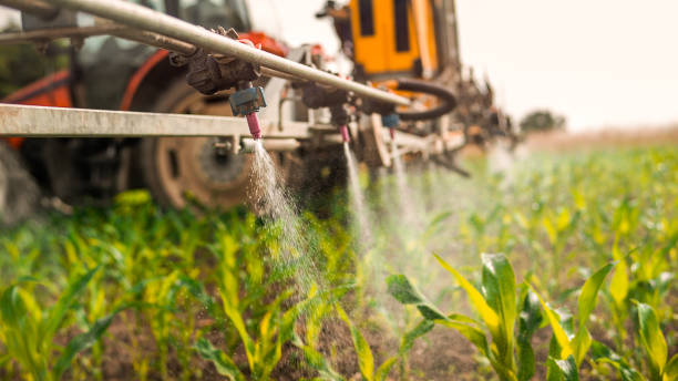 Best Commercial Pest Control Services  in Grizzly Flats, CA